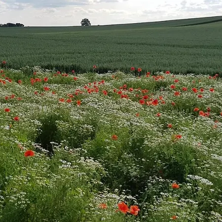 2 In Naehe Der Ostsee Grevesmuehlen