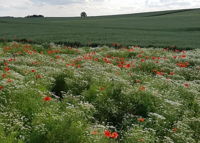2 In Naehe Der Ostsee グレーヴェスミューレン